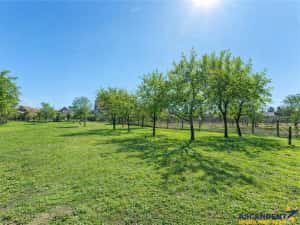 Clasa A, rezidential servicii investitional, 2.240 mp teren, Central, Halchiu, Brasov — miniatura 7