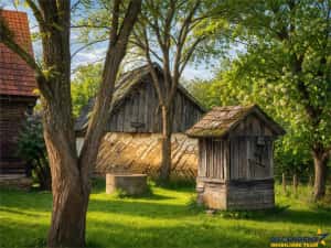 FILM! 4.900mp teren intravilan, cu casa, in Tufalau, Covasna — miniatura 4