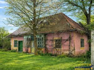 FILM! 4.900mp teren intravilan, cu casa, in Tufalau, Covasna — miniatura 5