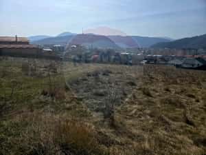 Teren 2,606mp Piatra-Neamt / Strada Orizontului — miniatura 3