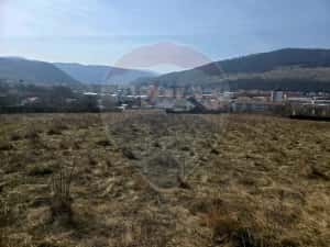 Teren 2,606mp Piatra-Neamt / Strada Orizontului — miniatura 6