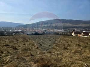 Teren 2,606mp Piatra-Neamt / Strada Orizontului — miniatura 8