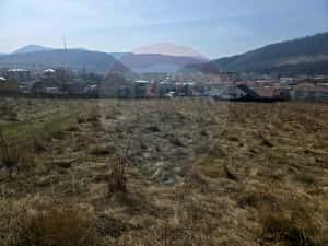 Teren 2,606mp Piatra-Neamt / Strada Orizontului — miniatura 9