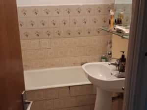 Doamna Ghica, 33mp, luminoasa, dec., logie, 1980, 10/10 — miniatura 4