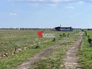 2 parcele de teren intravilan Mosnita Veche — miniatura 1