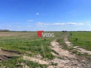 2 parcele de teren intravilan Mosnita Veche — miniatura 4