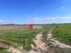 2 parcele de teren intravilan Mosnita Veche — miniatura 5