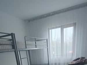 Cazare muncitori Voluntari/pădurea Andronache — miniatura 5
