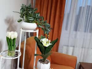 Apartament 2 camere de vânzare Drumul Taberei — miniatura 3