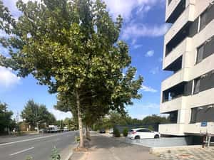 Apartament 3 camere, zona de nord — miniatura 4
