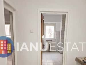 Timpuri Noi 10` Metrou Nerva Traian Octavian Goga PetFriendly* — miniatura 4