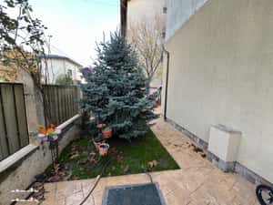 De închiriat Apartament 3 camere într-o vilă cu grădină — miniatura 3