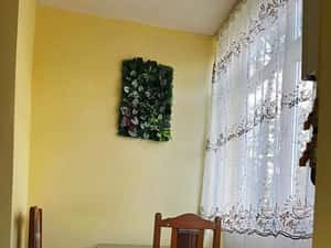 Garsoniera de inchiriat — miniatura 6