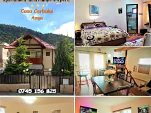 Cazare de familie apartament integral vilă AZUGA 4-6 pers.