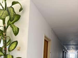 De vanzare garsoniera zona Lujerului langa Piata Veteranilor — miniatura 4
