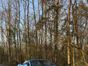 Ford Mustang 2.3 EcoBoost Cabrio 2017 – Unic în România | Prim proprietar | Istoric reprezentanță — miniatura 3
