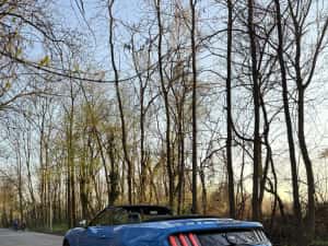 Ford Mustang 2.3 EcoBoost Cabrio 2017 – Unic în România | Prim proprietar | Istoric reprezentanță — miniatura 4