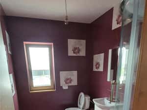 Vand hala cu birouri și platforma betonata in Sacalaz — miniatura 5