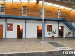 Vand hala cu birouri și platforma betonata in Sacalaz — miniatura 10