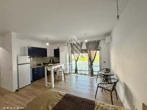 Apartament cu 1 camera, de inchiriat, loc de parcare, Giroc — miniatura 2