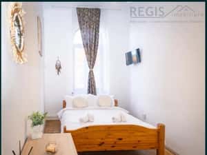 Apartament 2 camere Ultracentral — miniatura 5