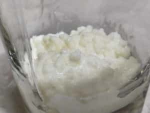 Ciupercă  Kefir (chefir) de lapte două porții — miniatura 3