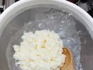 Ciupercă  Kefir (chefir) de lapte două porții — miniatura 6