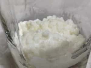 Ciupercă  Kefir (chefir) de lapte două porții — miniatura 7
