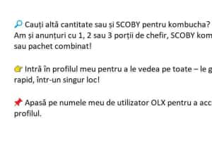 Ciupercă  Kefir (chefir) de lapte două porții — miniatura 8