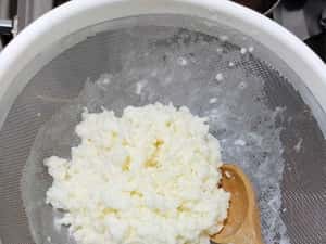 Ciupercă  Kefir (chefir) de lapte două porții — miniatura 10