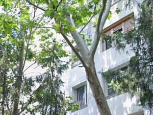 Apartament 3 camere, sector 4, Izvorul Crisului — miniatura 3