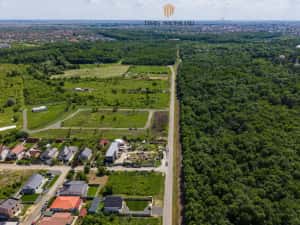 Parcele la padure, între Timișoara și Ghiroda/Giarmata Vii - Com 0%