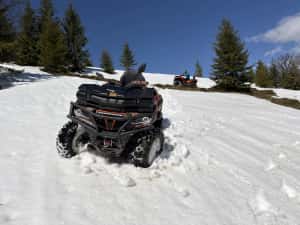 Cfmoto 1000 2024 — miniatura 4