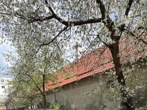 Range Rover Evoque 2017/4x4/ automat/ Full/PB motor/VARIANTE — miniatura 6