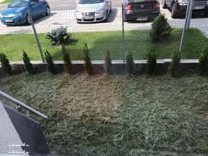 Studio cu  balcon și grădină de 25mp în Brașov, Avantgarden3 — miniatura 3