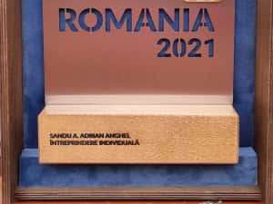 Gps M14XL 9inch Pilot Harti Here si TomTom 16Gb 512RAM 10lei discount — miniatura 6