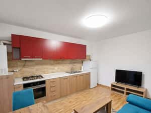 Studio 48mp / parter, fara scari, fara scuze — miniatura 5