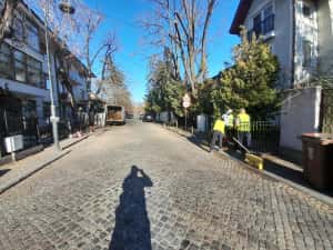 Tăiere copaci toaletare program 24/7cosmetizare evaluare pe watap. — miniatura 8