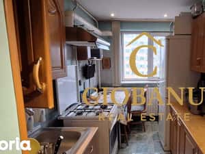 Apartament 3 camere de vanzare zona Gradina Botanica — miniatura 4