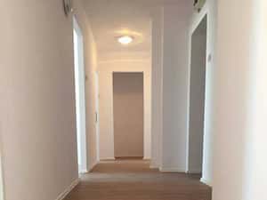 Meseriasi seriosi in iasi, renovări si reparatii interioare — miniatura 10