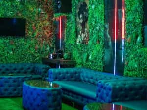 Piscina Privata pentru Pool Party — miniatura 6