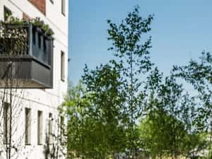 Apartament 2 camere, etaj 3, mobilat, cu terasă — miniatura 3