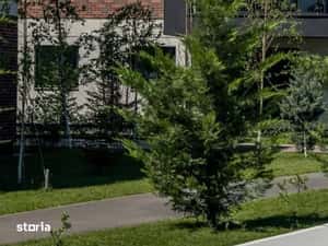 Apartament 2 camere, etaj 3, mobilat, cu terasă — miniatura 4