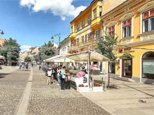 Apartament la cheie 2 camere 80 mpu in zona Centrului Istoric Sibiu