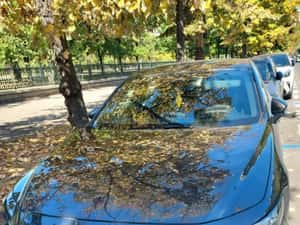 MAZDA 3 - EXCLUSSIVE LINE / GARANTIE PRODUCATOR — miniatura 5