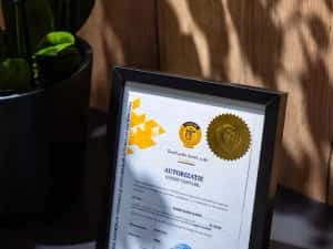 Prestare servicii contabilitate — miniatura 2