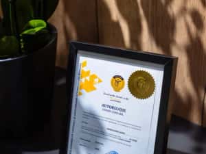 Prestare servicii contabilitate — miniatura 9