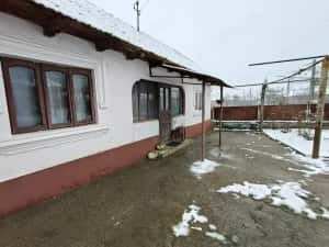 Proprietate rară – 2 case + livadă, vie și teren generos, la 20 km de Târgu Jiu — miniatura 6