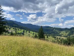 Teren rarau 10 min de partie extravilan parcela de jumatate 5600mp — miniatura 3