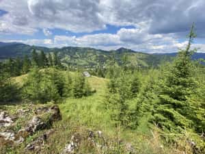 Teren rarau 10 min de partie extravilan parcela de jumatate 5600mp — miniatura 4